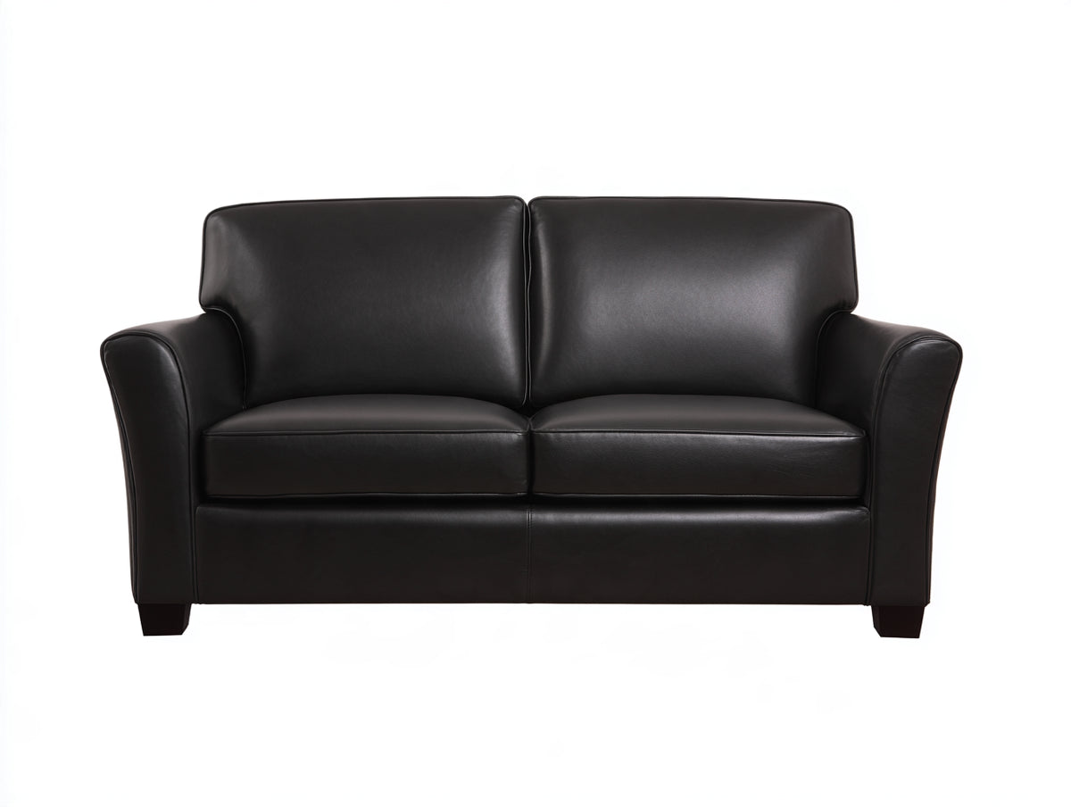 Canapé 2 places- Cuir- 186x88x84 cm- Noir- Style contemporain
